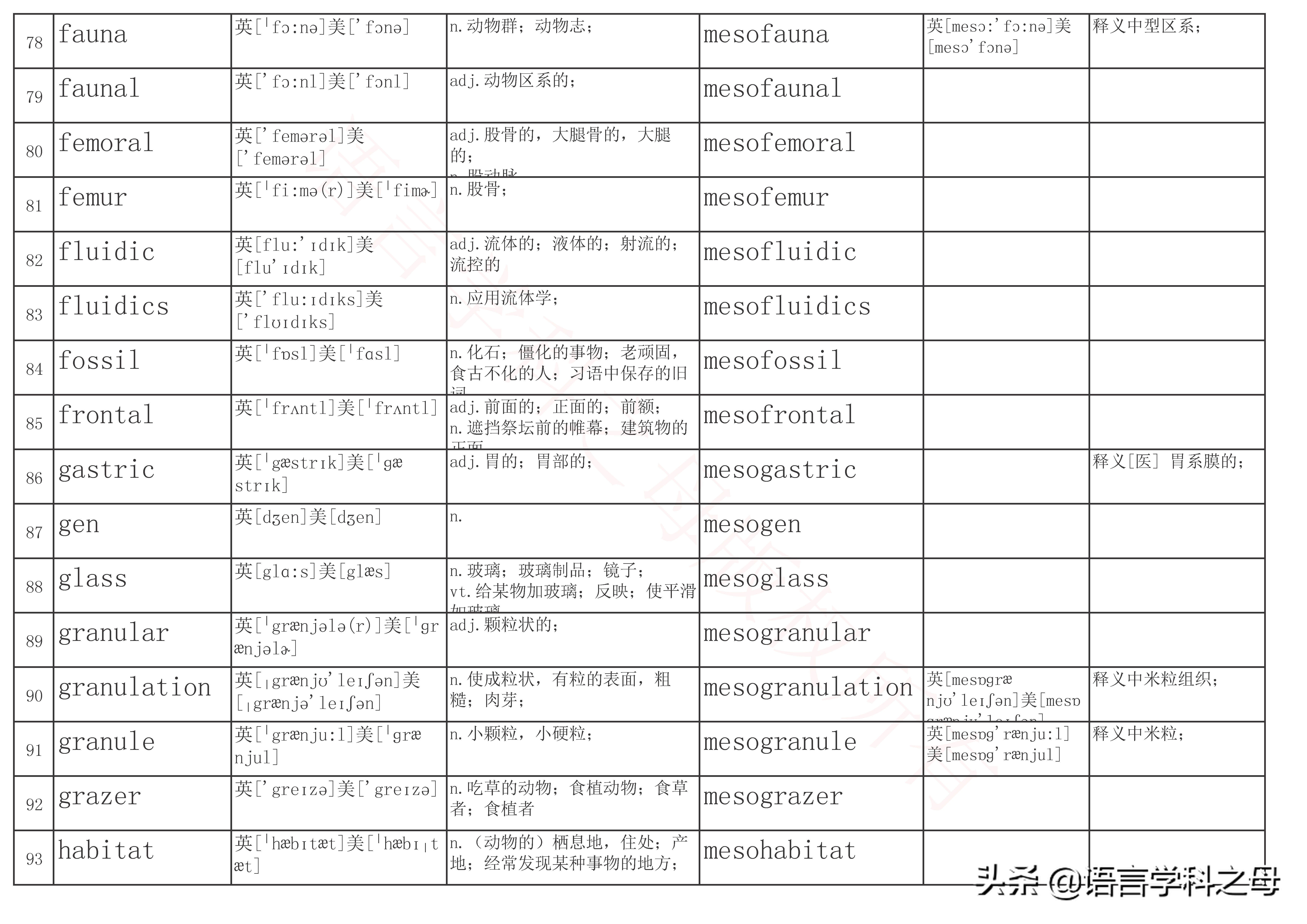 mid为前缀常见的单词,mid为前缀的单词有哪些