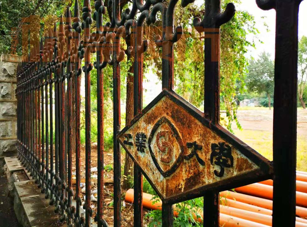 沈阳房价上涨还是下跌,沈阳房价哪年开始涨的