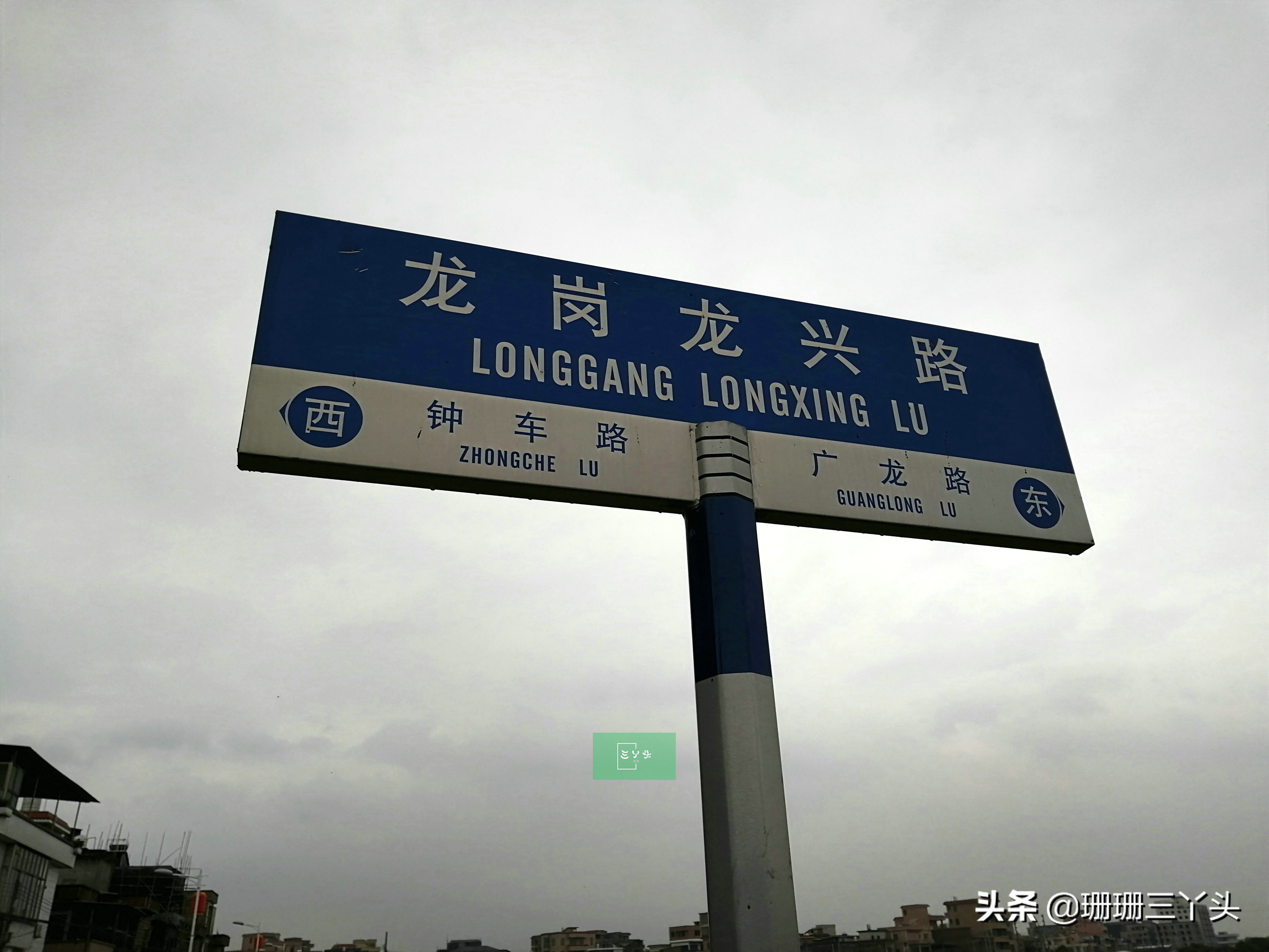 广州春季赏油菜花的地方,广州绝美油菜花海