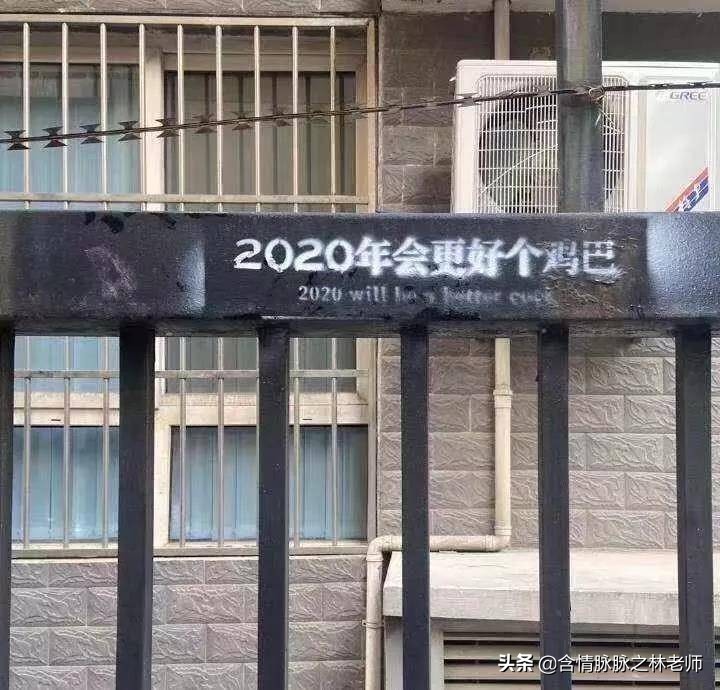 室内三种最旺家庭养植物,家居绿植哪些不适宜养