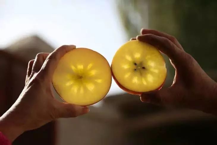 平安夜送什么苹果？不止红富士，这里是最有趣的苹果合集