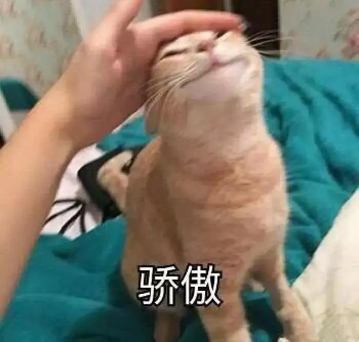 iOS捷径｜WS*载下**器捷径，史上最强大的苹果短视频*载下**神器