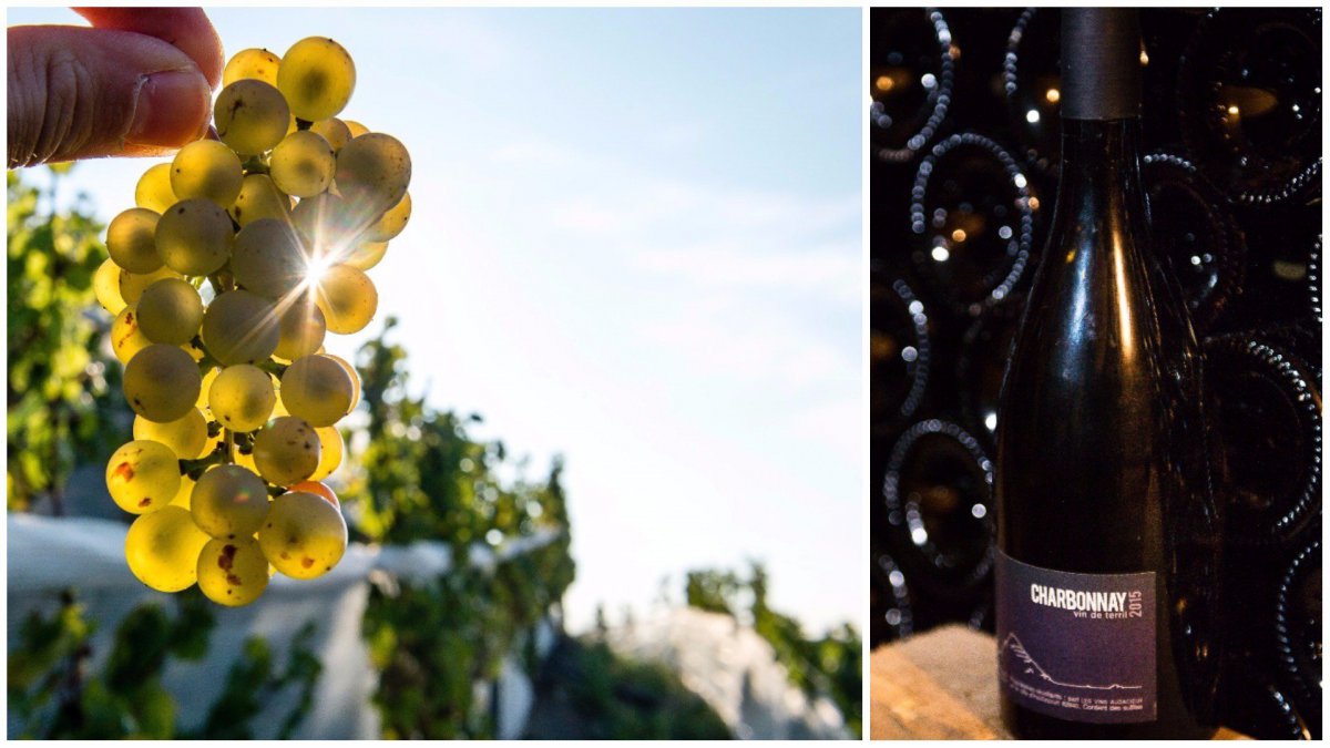 最好喝的法国葡萄酒,法国最有代表性的葡萄酒