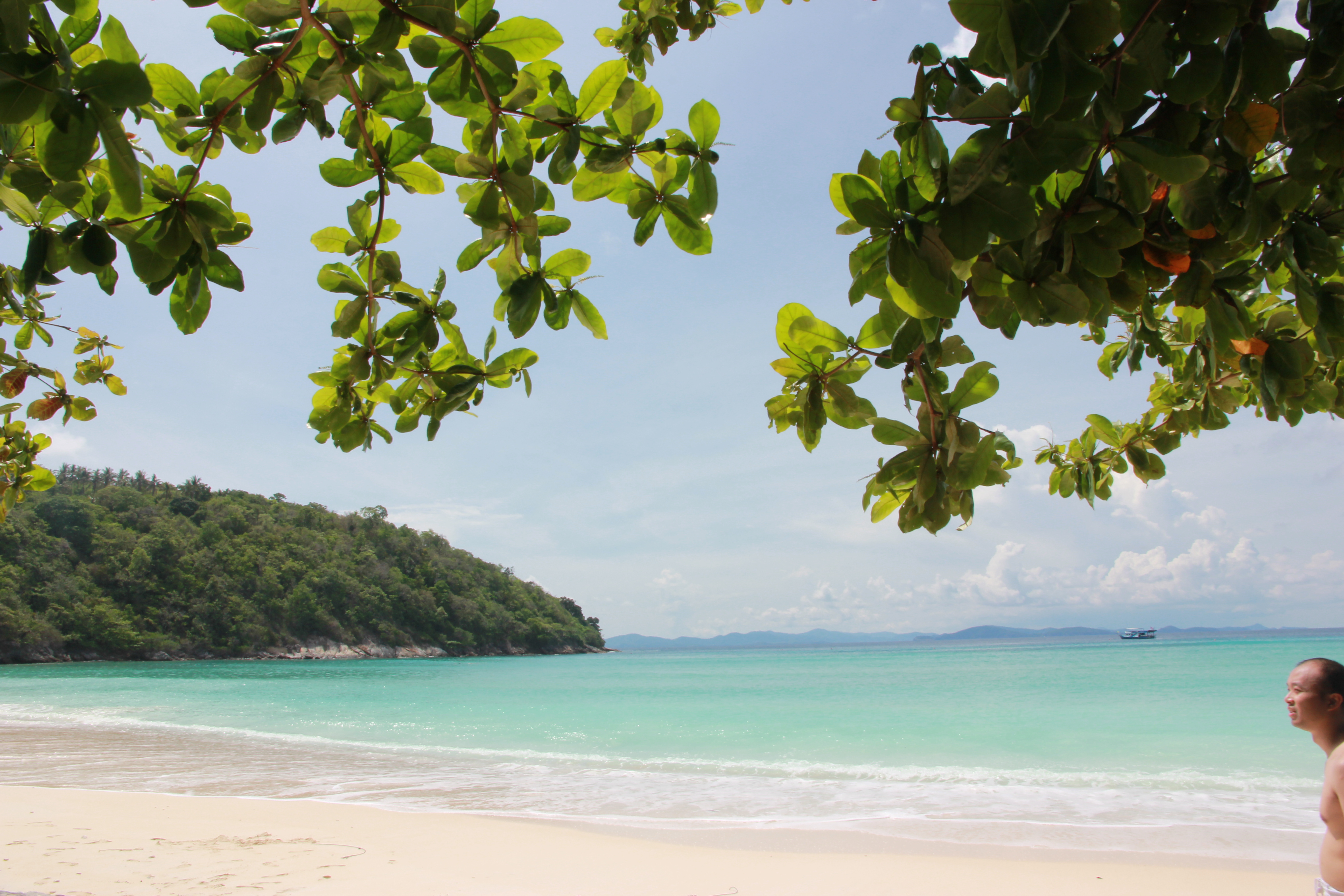 在普吉岛浮潜拍到的美妙海底世界 (普吉岛cape panwa hotel浮潜)