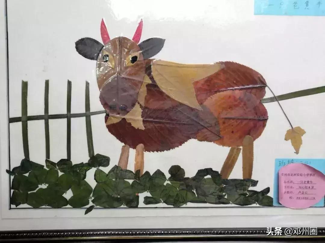 邓州电视台邓州新闻播报,2019年4月2日邓州新闻联播