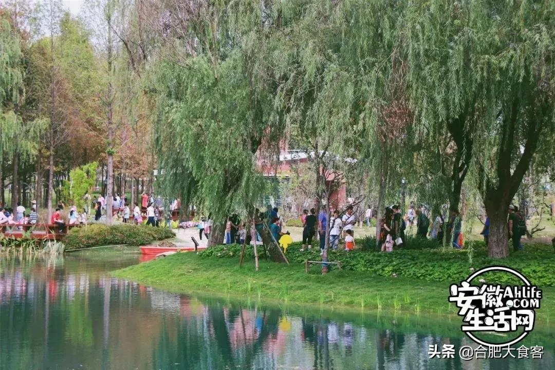 2020年,在这50个地方遇见不一样的合肥