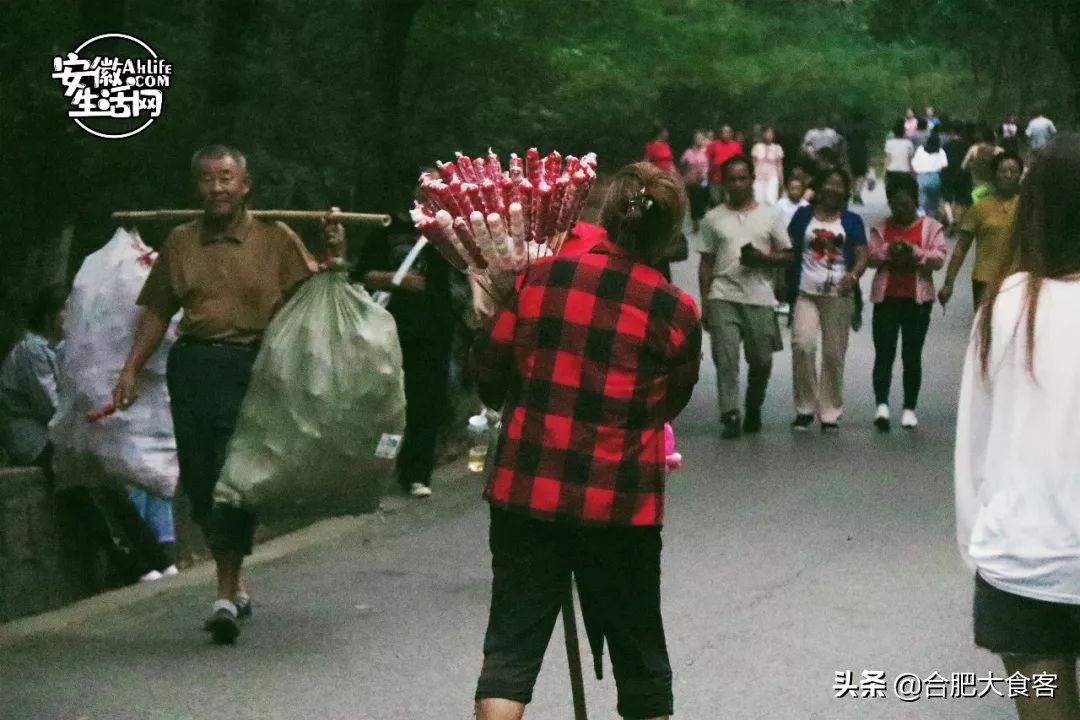 合肥大蜀山的秘密,合肥大蜀山的由来