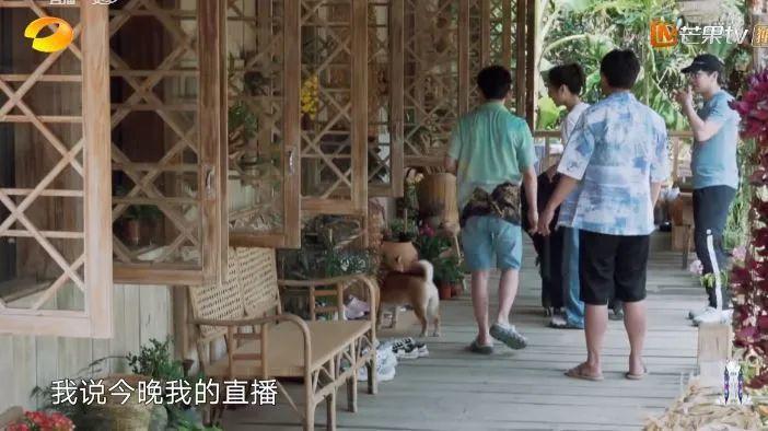 被骂想红，她真的冤