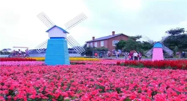 五一广东游玩攻略人少,五一广东免费的旅游景点