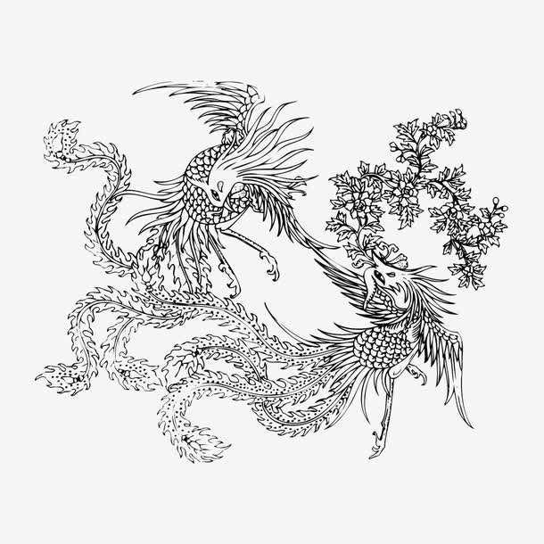 怎样画一个凤凰,怎么画个凤凰