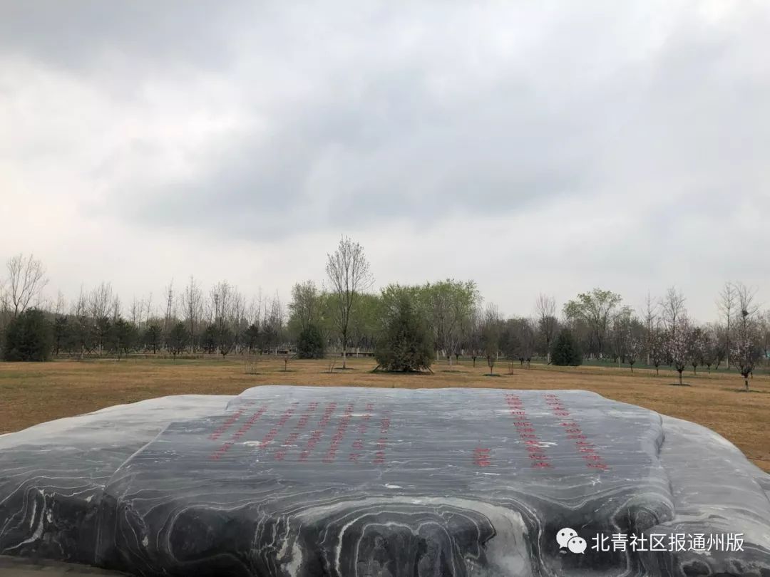 就是通州这5个人，和总书记一起植树了！听听他们都说了啥？