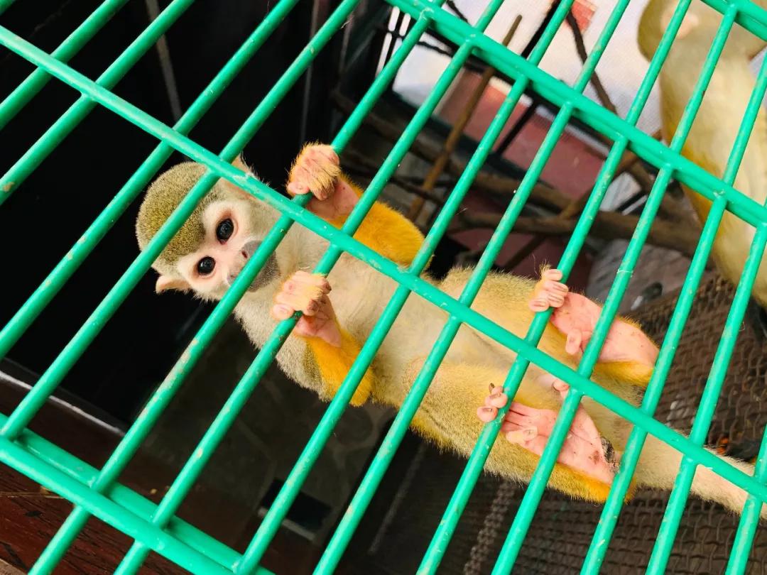 冰雪奇缘的美丽瞬间,冰雪奇缘照进现实