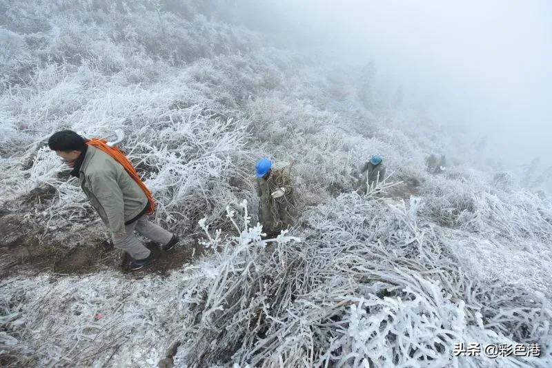 2022全国晚报摄影优秀图片评选,记者获奖照片触目惊心