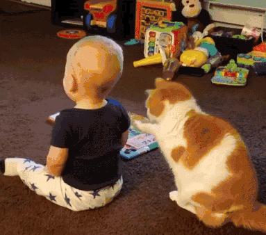 祝铲屎官麻麻节日快乐!毛孩子的行动超暖心了