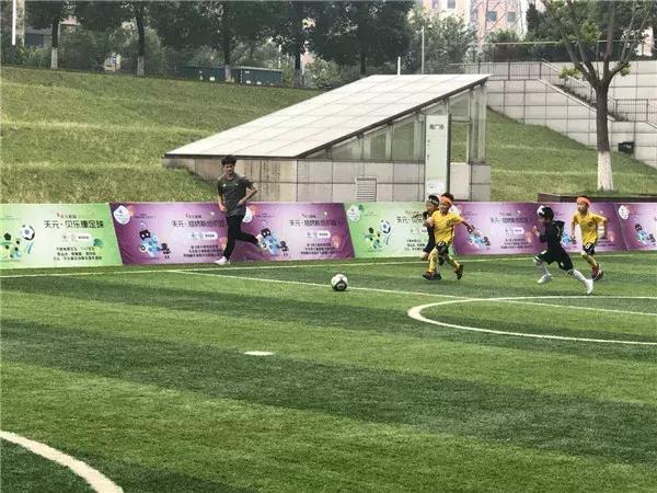 飞扬足球,飞扬足球预测