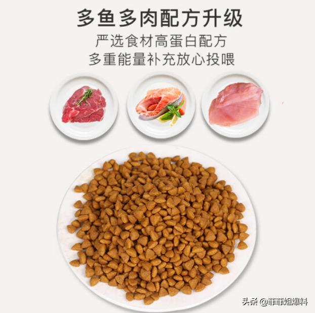 低价高品质猫粮新手选粮不迷茫,派得高品质猫粮
