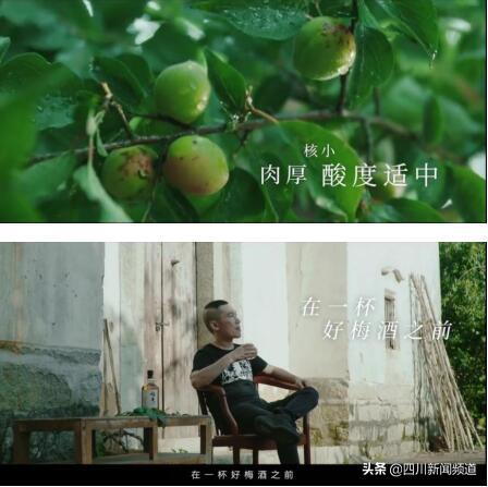 梅见青梅酒真的好喝吗,梅见青梅酒怎么火起来的