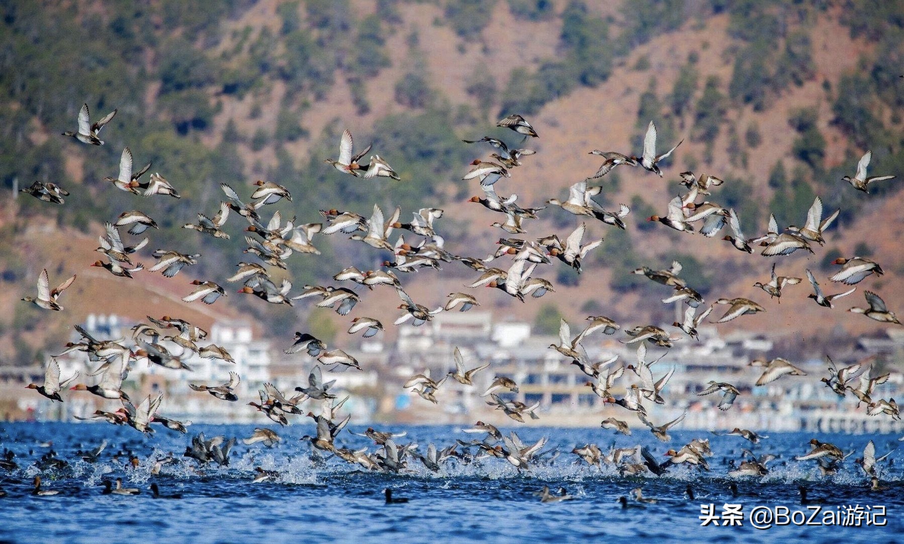 云南旅游攻略最佳线路洱海,到云南旅游必去景点推荐