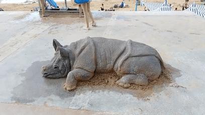 老外沙雕动物视频,外国人沙雕模仿动物