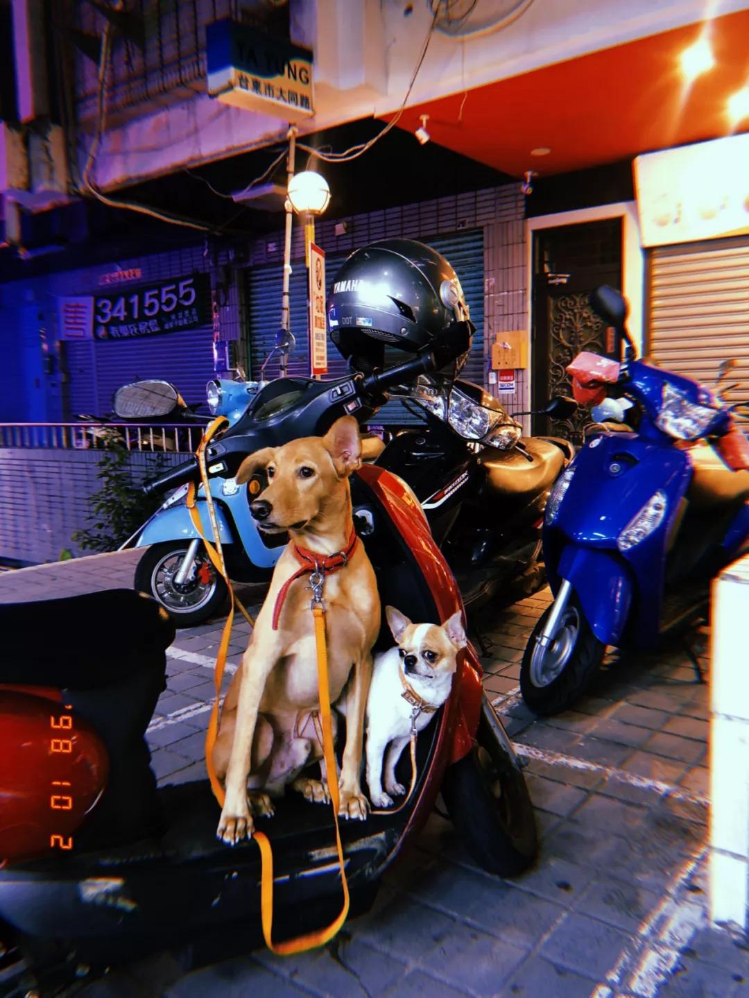 台湾自由行之台湾印象,台湾环岛深度纯玩