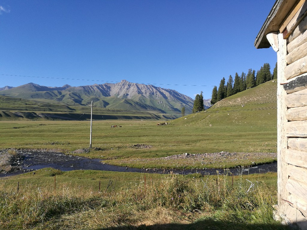 与*疆新**旅店老板共餐，直夸我土豆丝炒的好吃，后请我吃羊肉大餐