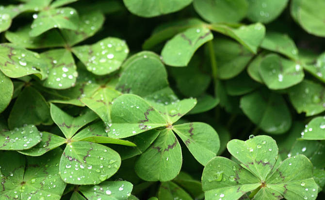 不近视怎么选度数,一只眼近视怎么恢复视力小妙招