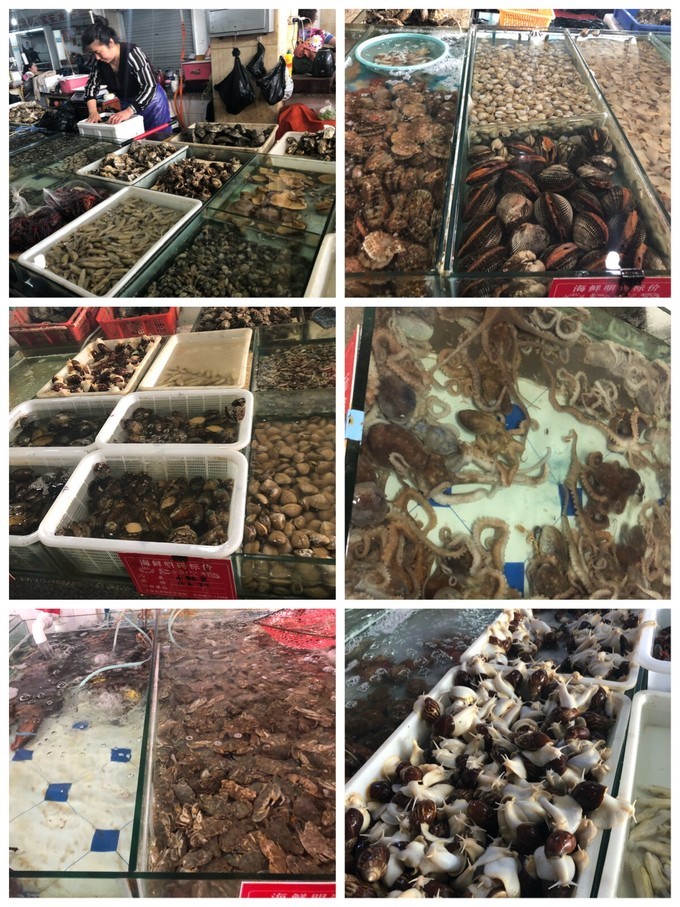 南戴河蔚蓝海岸亲子乐园,南戴河远洋蔚蓝海岸攻略