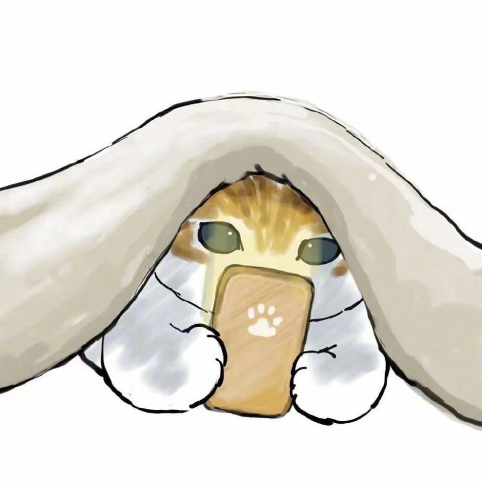 猫咪肚子毛剃了多久长出来,猫咪肚子里全是毛怎么办