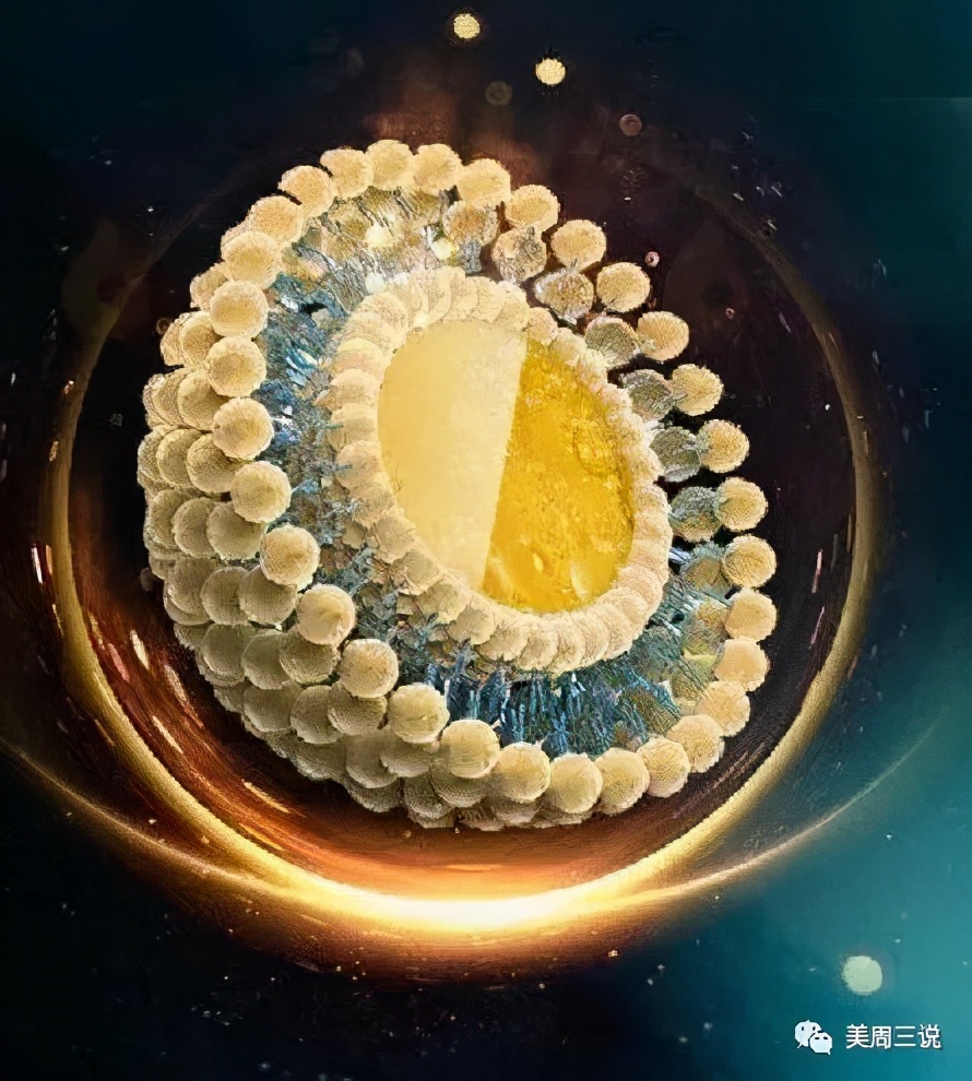 黛昂丝呼吸霜多少钱一瓶,黛昂丝呼吸霜的功效