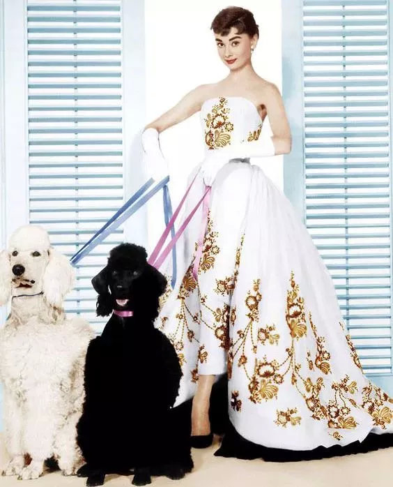 装妆美资讯馆|是谁?让赫本比梦露更美丽?