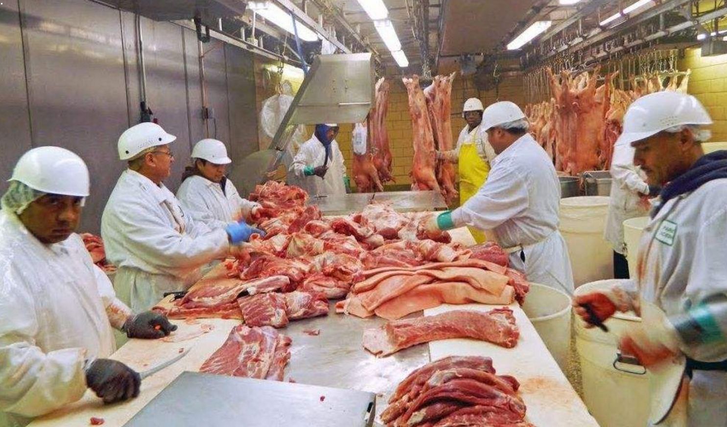 美国人越穷越胖,美国人为什么很穷还那么胖