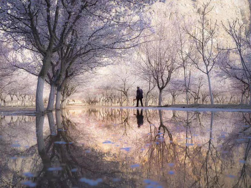 疫情过后再去看看风景,疫情结束后的人间仙境