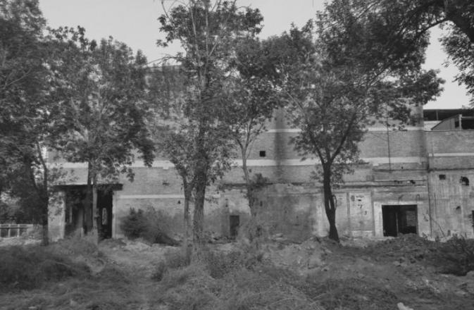 天津相声演员丁文元,天津小伙丁文元