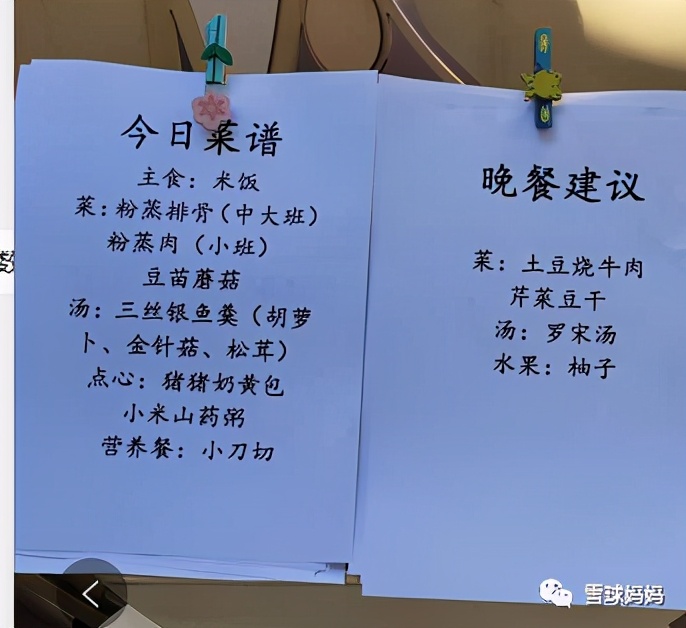 华德福瑞吉欧蒙氏,华德福蒙氏瑞吉欧的区别