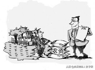 农民朋友注意了这三种作物禁种,农民朋友们买肥料要注意