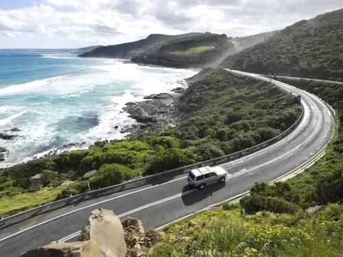 澳大利亚冷知识，独特的动物，你知道几个？