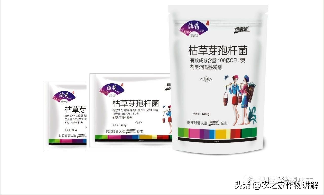 杩欑瘒鏂囩珷鎶婂厷鍙茶閫忎簡,杩欑瘒鏂囩珷澶不鎰堜簡鑻辨枃