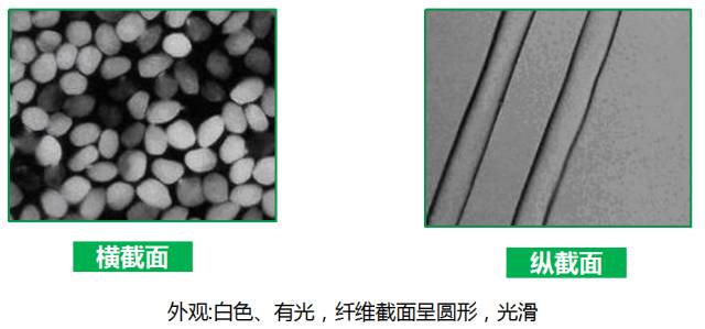 天丝棉和真丝的区别,天丝棉麻与棉料棉麻区别