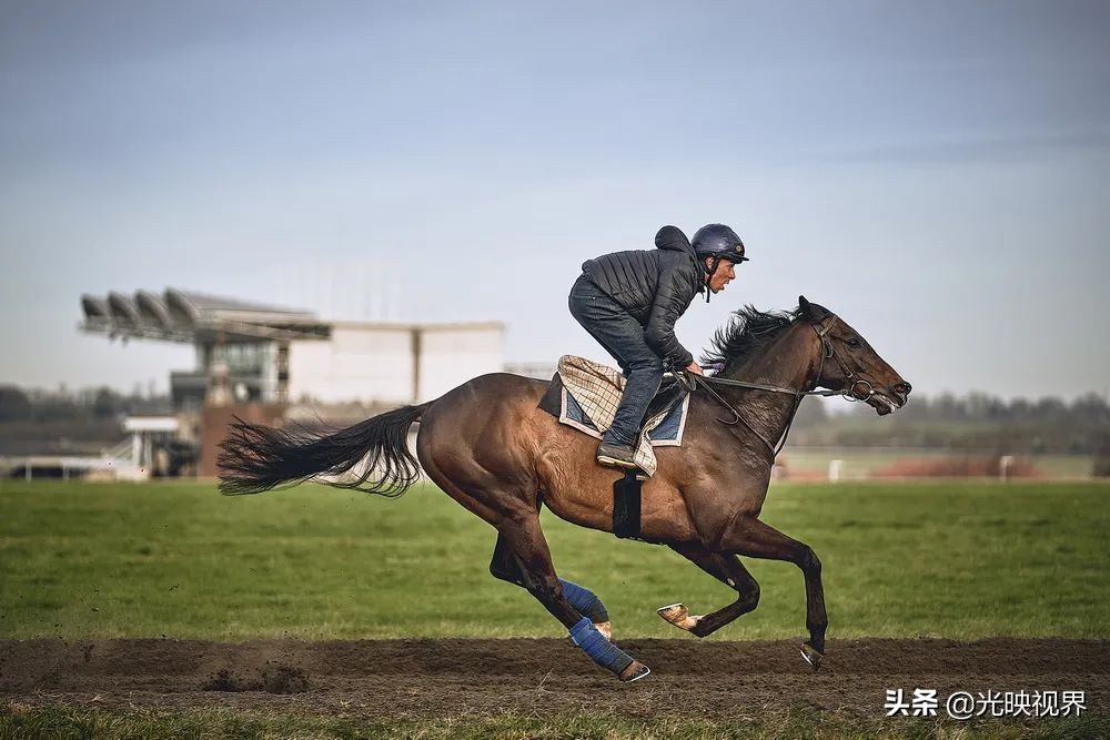 2022年度的ipa摄影大赛获奖作品,2020ippa摄影大赛奖项公布