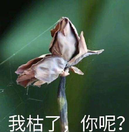 GET中国｜大公开！年轻人瞒着父母的秘密是这些！