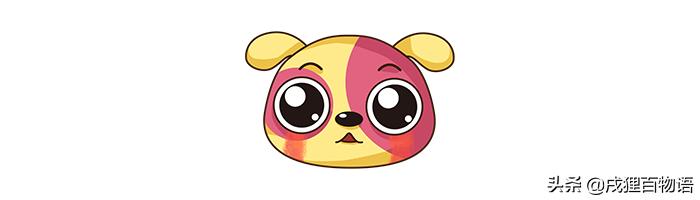 狗狗生病应该吃什么药最好,狗狗生病了不打算治了