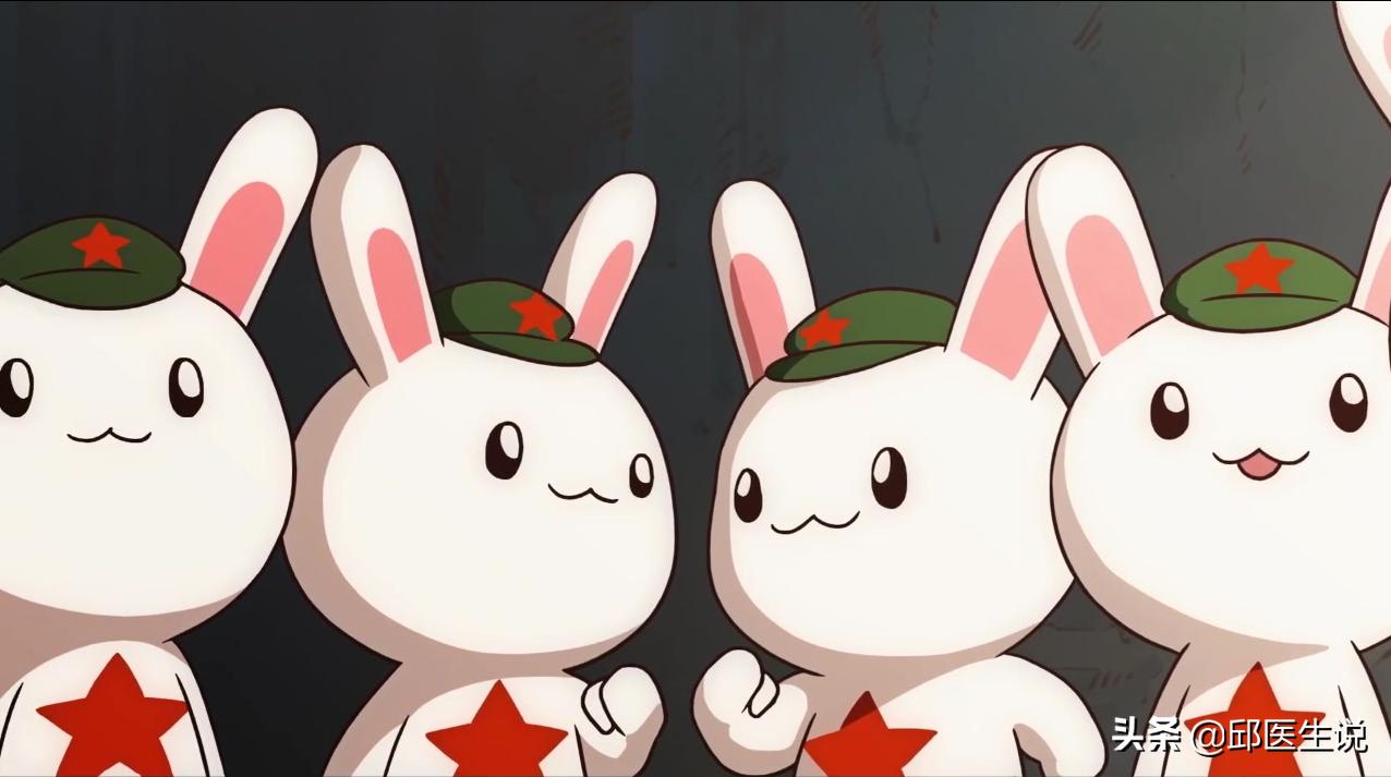 在减肥圈里有一群“兔子”,她们不喜欢吃草,只喜欢自残式催吐