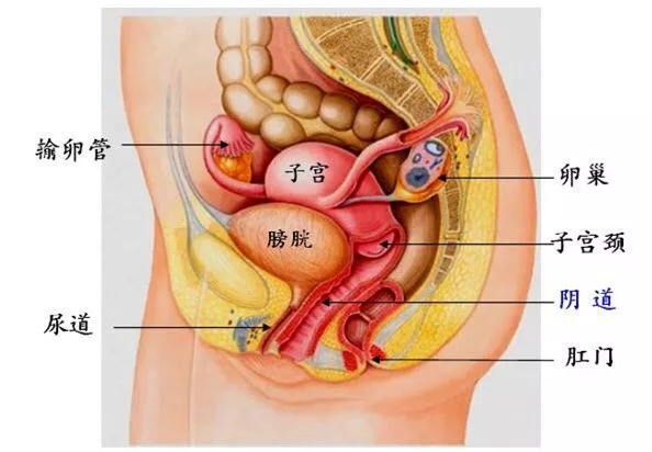 女性尿感强烈却尿不出是什么原因,突然觉得想尿却排不出尿怎么回事
