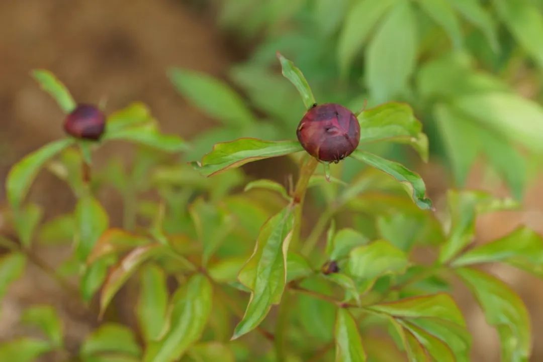 pr品牌管理方法,公关pr是什么