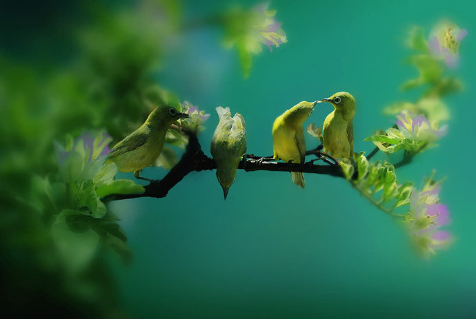 苏东坡趣闻全集,苏东坡趣闻趣事