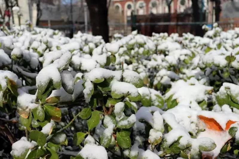 天津市高级中等学校,天津市锐华高级中学