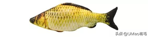 我们败了两款新型“猫*品毒**”孝敬主子，你猜哪种比较受猫欢迎？