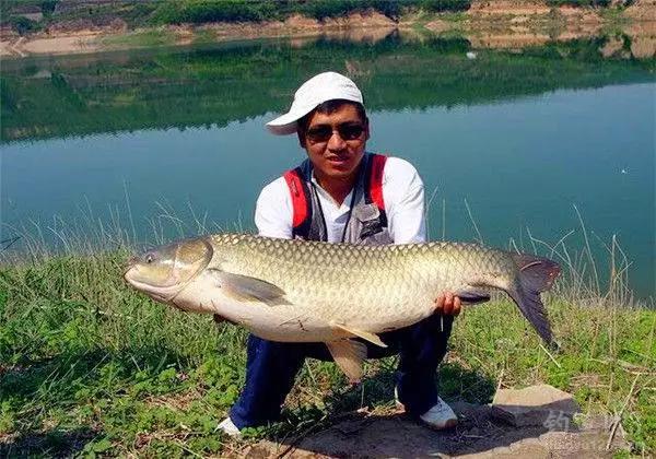 避小鱼技巧,避小鱼的垂钓方法