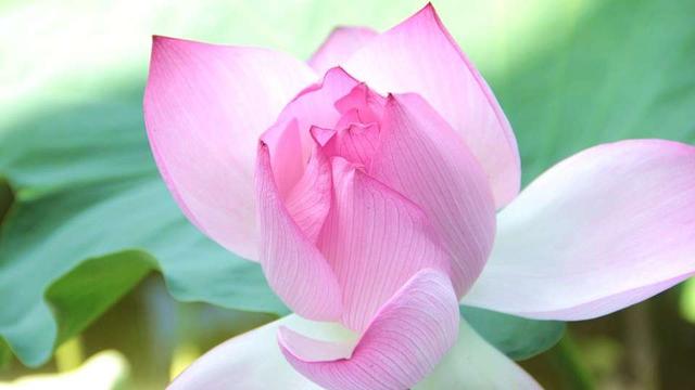 教你看穿人心的文章,看穿人性的十个秘诀