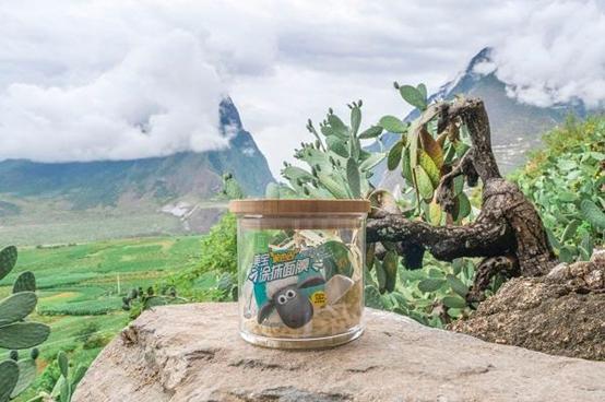 缇庡疂绉戝鎶よ偆,缇庡疂鎶よ偆